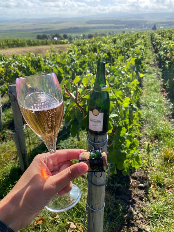 Champagne Jacquart Brut Mosaïque